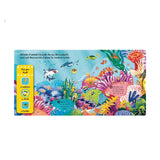 First Explorers Sea Creatures Board Book-Pumpkin Pie Kids Canada