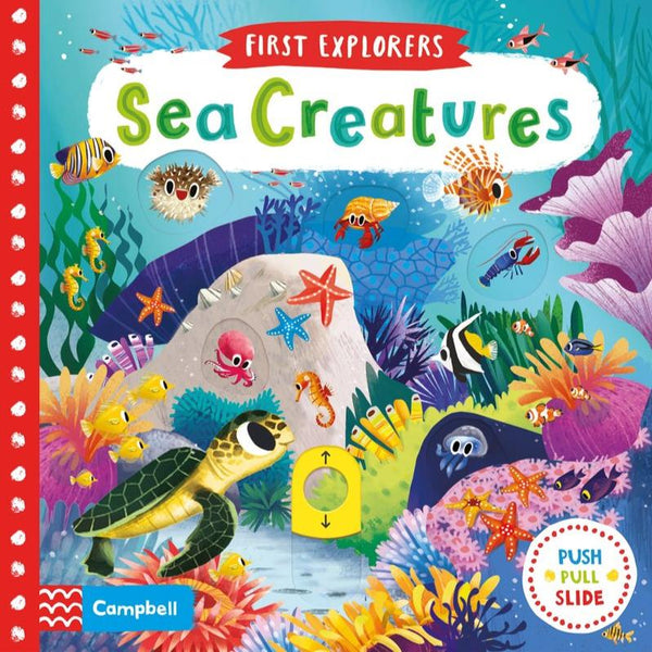 First Explorers Sea Creatures Board Book-Pumpkin Pie Kids Canada