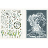 Sticker Emporium Woodlandia Stickers-Pumpkin Pie Kids Canada