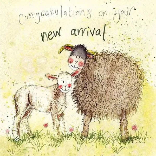 Alex Clark Lamb Baby Card-Pumpkin Pie Kids Canada