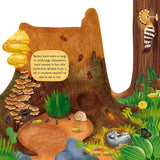 Discovering the Hidden Woodland Board Book-Pumpkin Pie Kids Canada