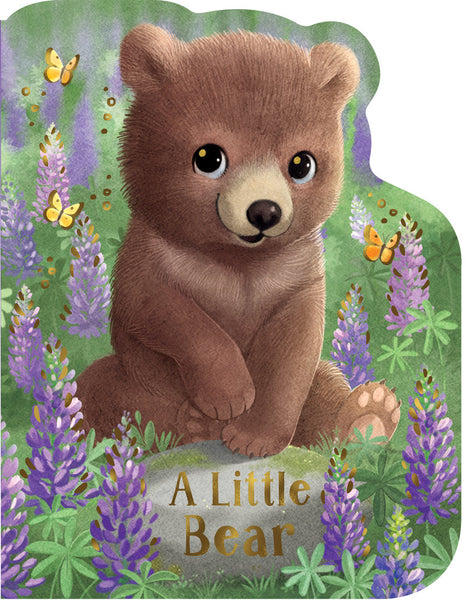 A Little Bear Board Book-9798890195005-Pumpkin Pie Kids Canada