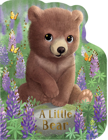 A Little Bear Board Book-9798890195005-Pumpkin Pie Kids Canada
