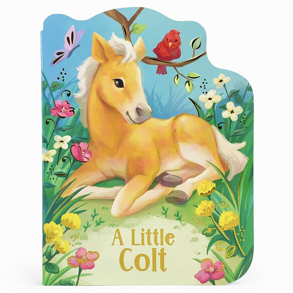 A Little Colt Board Book-9781680527773-Pumpkin Pie Kids Canada