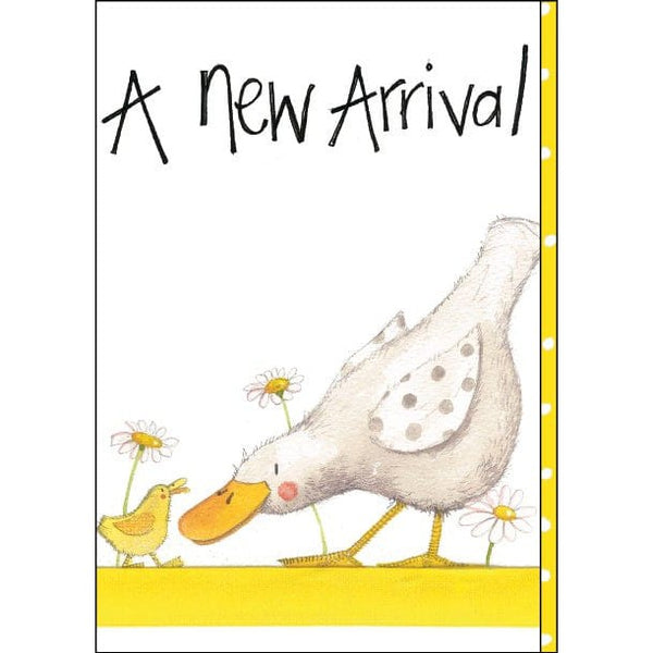 Alex Clark New Arrival Baby Card-5199-USCD220-Pumpkin Pie Kids Canada