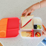 B.Box Lunch Box - Strawberry Shake-BOX2301-Pumpkin Pie Kids Canada