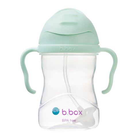 B.Box Sippy Straw Cup - Pistachio-Pumpkin Pie Kids Canada