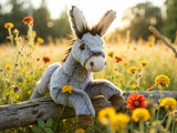 Bukowski Christopher Donkey-24029-Pumpkin Pie Kids Canada