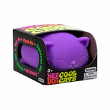 NeeDoh Cool Cats - Assorted-CCND-Pumpkin Pie Kids Canada