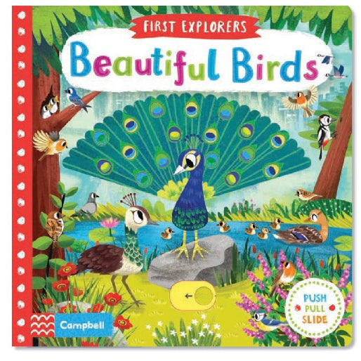 First Explorers Brilliant Birds Board Book-9781509898336-Pumpkin Pie Kids Canada