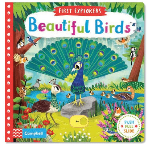 First Explorers Brilliant Birds Board Book-9781509898336-Pumpkin Pie Kids Canada