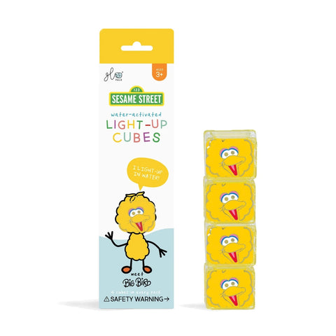 Glo Pals Light Up Cubes 4pk - Big Bird-GP401-Pumpkin Pie Kids Canada