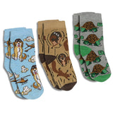 Good Luck Sock Crew Socks 3pk - Cockapoo Pilot, Squirrels & Tortoises-10142-Pumpkin Pie Kids Canada