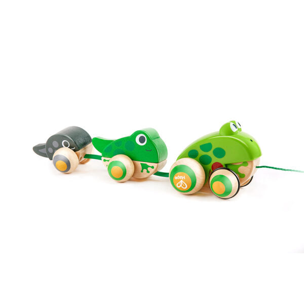 Hape Pull-a-long Frog Family-E0365-Pumpkin Pie Kids Canada