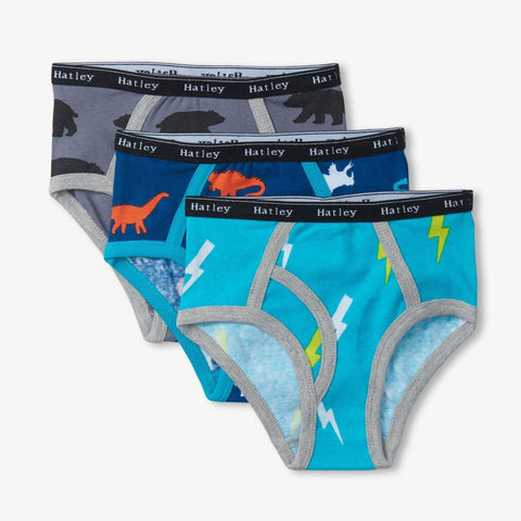 Hatley Classic Briefs 3pk - Silhouette Nature-F00PPK1712 2/3-Pumpkin Pie Kids Canada