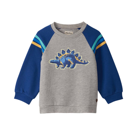 Hatley Pullover - Glow in the Dark Dino-F25GMT1542 3-6M-Pumpkin Pie Kids Canada