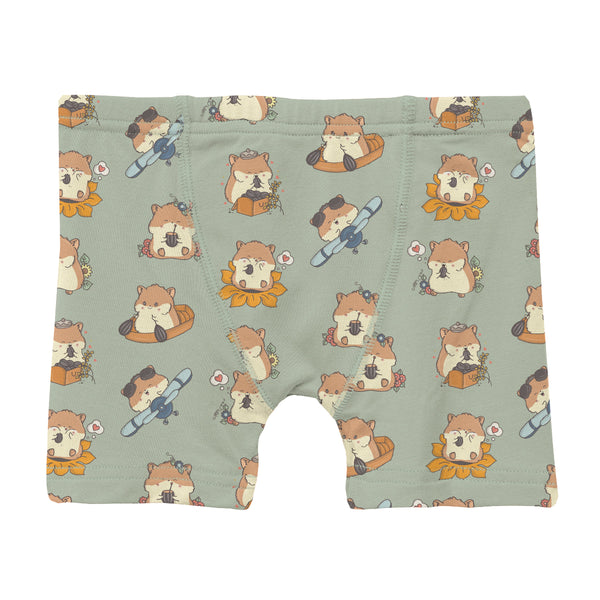 KicKee Pants Boxer Brief - Aloe Hamster Antics-SBB9-F26D1D-AHA XS-Pumpkin Pie Kids Canada