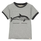Me & Henry Falmouth Tee - Dolphin-HB690A 6-7-Pumpkin Pie Kids Canada