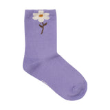 Minymo Socks 2pk - Purple Haze-6634-6183 15/18-Pumpkin Pie Kids Canada