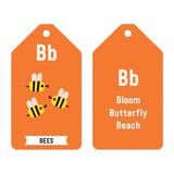 Mudpuppy ABC of the Earth Flash Cards-Pumpkin Pie Kids Canada