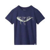 Hatley Graphic Tee - Whale-Pumpkin Pie Kids Canada
