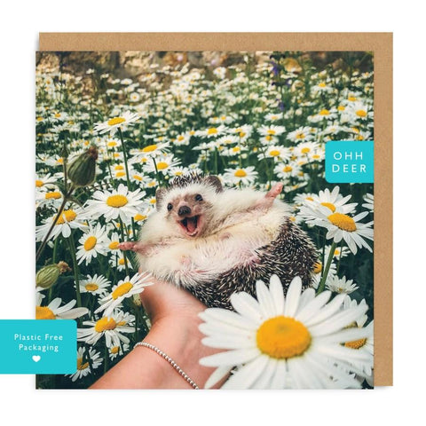 Hedgehog Daisy Blank Card-SAY-GC-3754-SQ-Pumpkin Pie Kids Canada