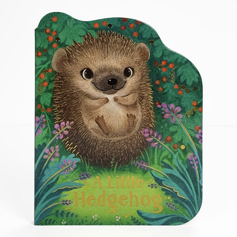 A Little Hedgehog Board Book-9781680526325-Pumpkin Pie Kids Canada